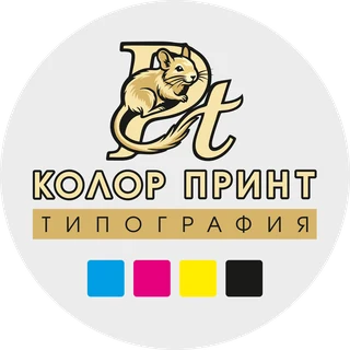 Логотип «ПлаТинум Колор Принт» — дегу в круге